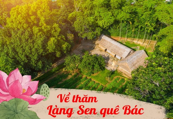Ngắm nhìn hình ảnh làng sen quê Bác Nghệ An “một thời để nhớ”